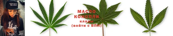 крисы Бронницы