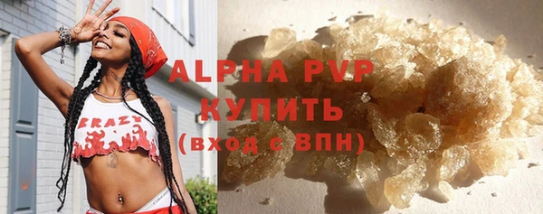 крисы Бронницы